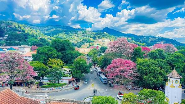 Ut fugiat suscipit a gallery image